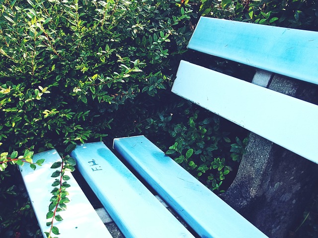 领袖的中卫 领袖的中卫