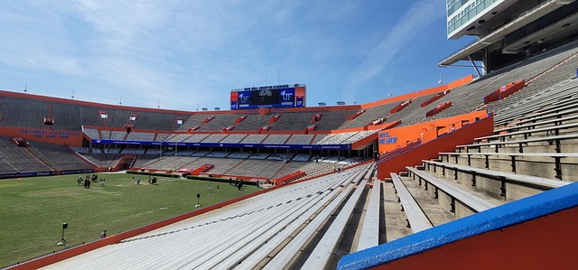 他迅速进行 他迅速进行