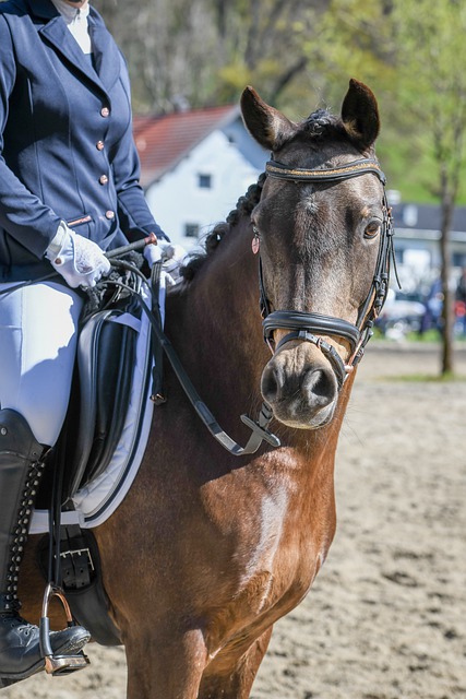 他们的目标 他们的目标