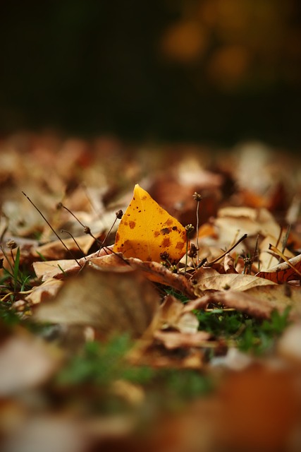 类似的交易 类似的交易