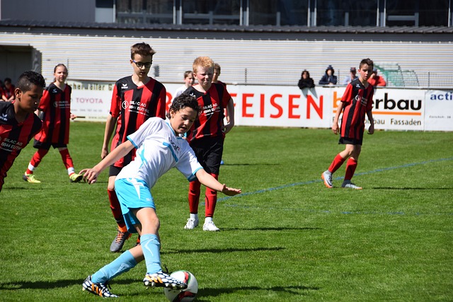 适合自己的 适合自己的