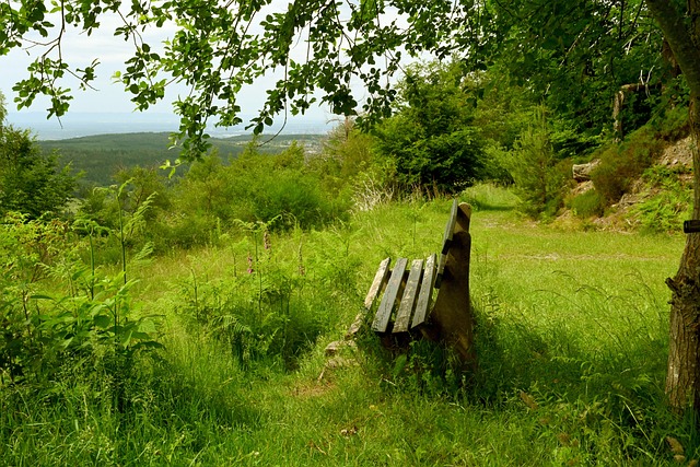 的日益普及 的日益普及