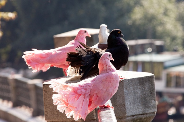科技兴则民 科技兴则民
