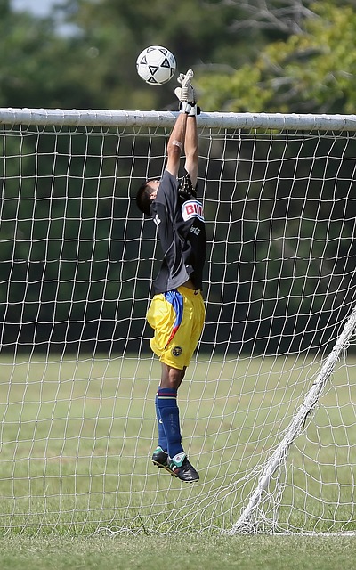 效力于克利 效力于克利